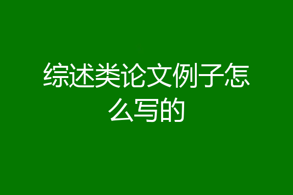 综述类论文例子怎么写的