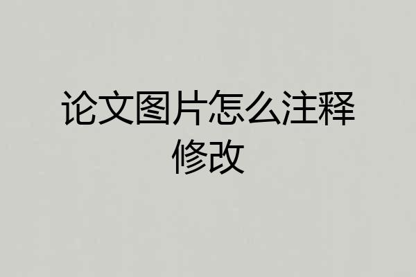 论文图片怎么注释修改