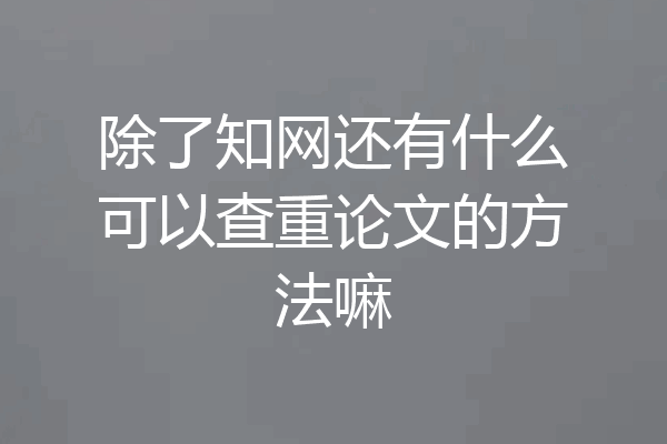 除了知网还有什么可以查重论文的方法嘛