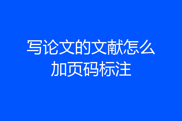写论文的文献怎么加页码标注