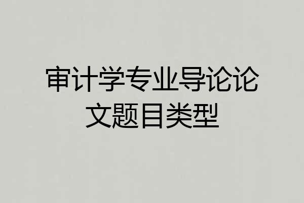 审计学专业导论论文题目类型