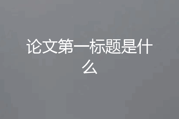 论文第一标题是什么