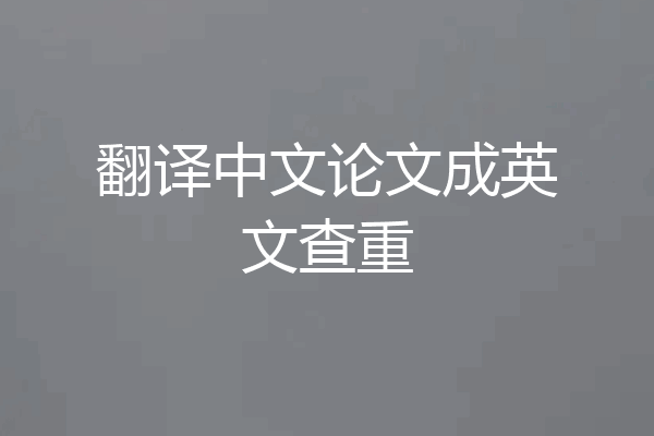 翻译中文论文成英文查重