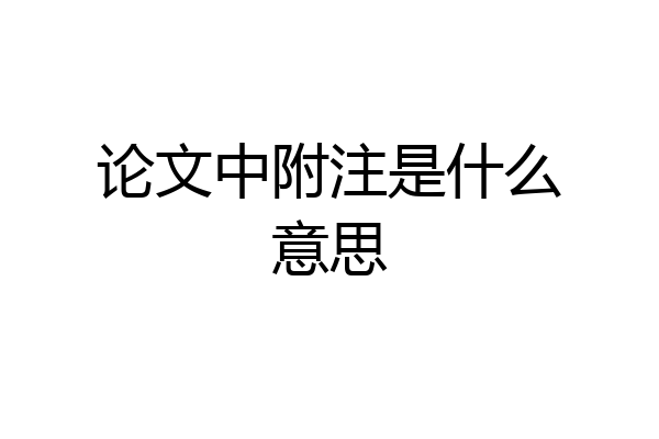 论文中附注是什么意思