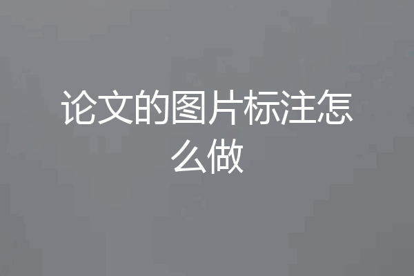 论文的图片标注怎么做