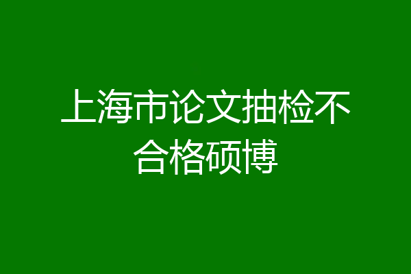 上海市论文抽检不合格硕博