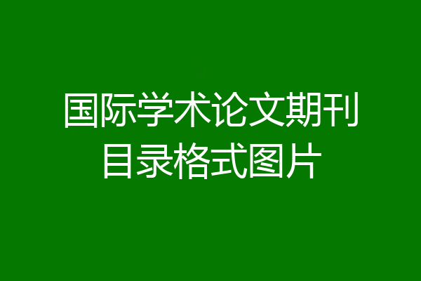 国际学术论文期刊目录格式图片