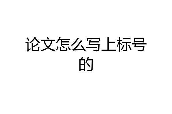 论文怎么写上标号的