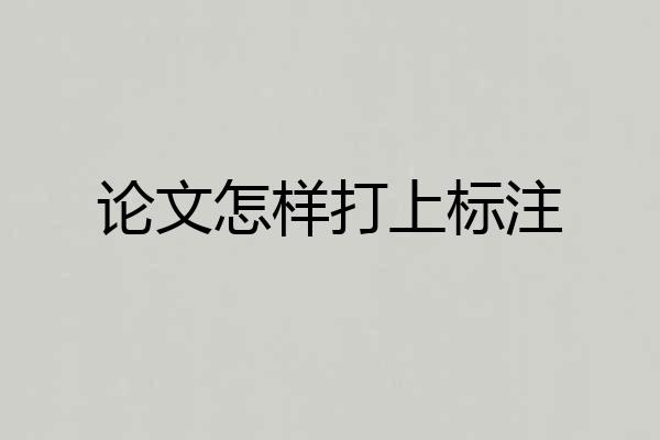 论文怎样打上标注