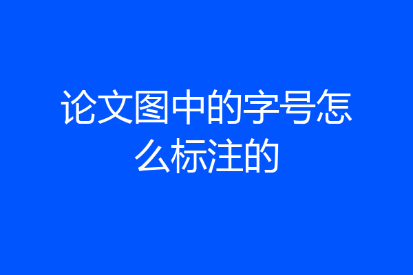 论文图中的字号怎么标注的