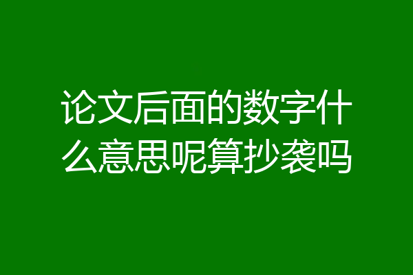 论文后面的数字什么意思呢算抄袭吗