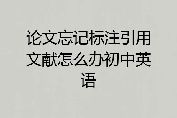 论文忘记标注引用文献怎么办初中英语