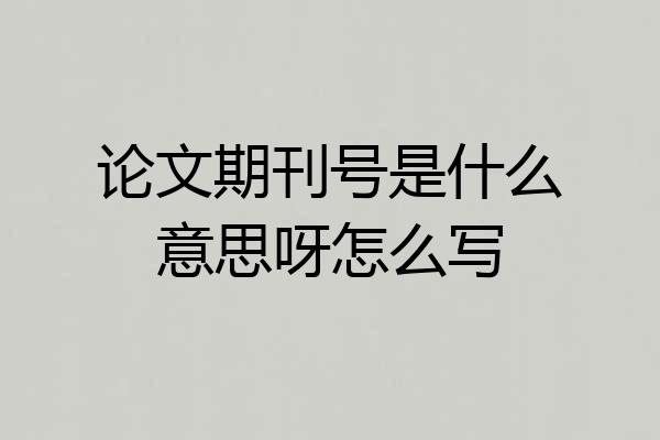 论文期刊号是什么意思呀怎么写