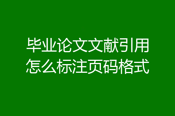 毕业论文文献引用怎么标注页码格式
