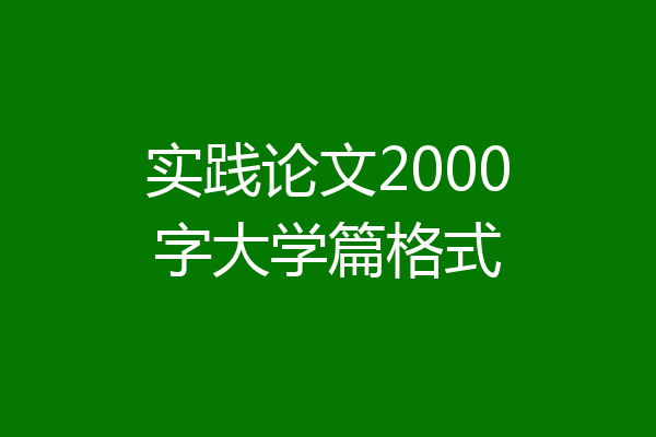 实践论文2000字大学篇格式