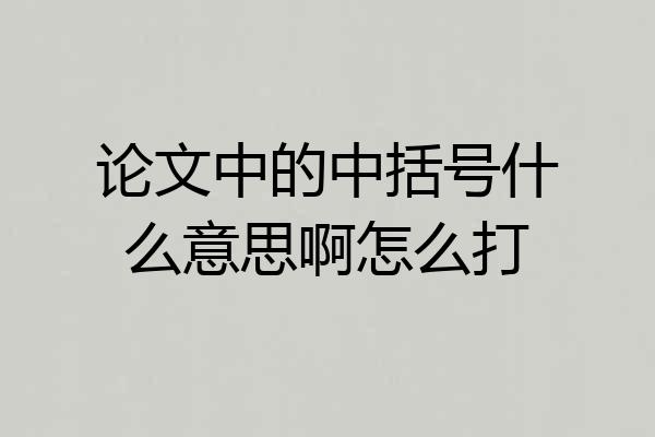 论文中的中括号什么意思啊怎么打
