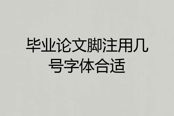 毕业论文脚注用几号字体合适