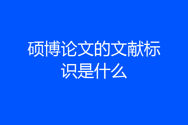 硕博论文的文献标识是什么