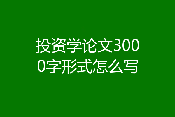 投资学论文3000字形式怎么写