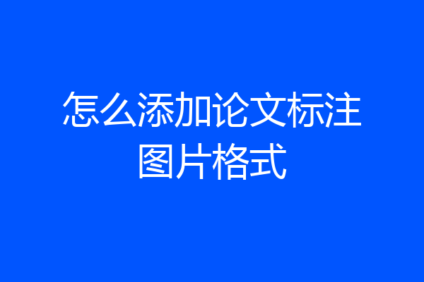 怎么添加论文标注图片格式