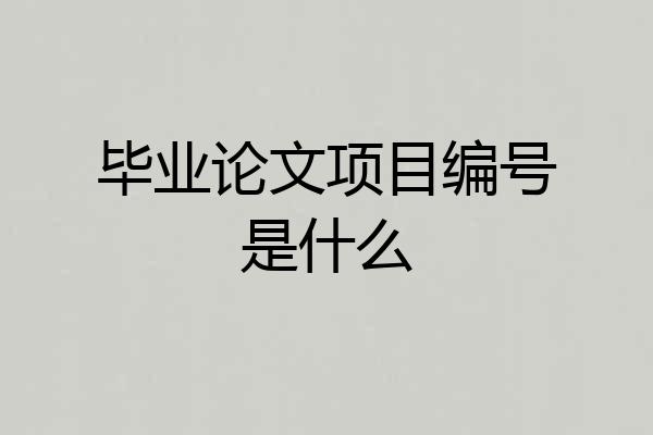 毕业论文项目编号是什么