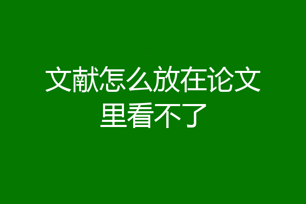 文献怎么放在论文里看不了