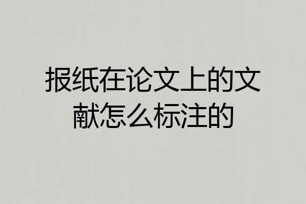 报纸在论文上的文献怎么标注的