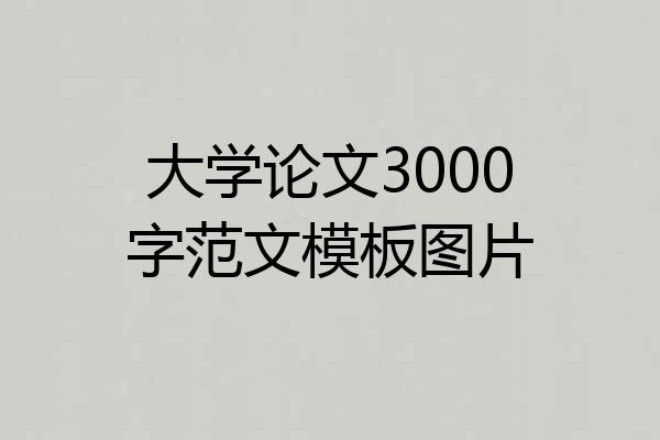 大学论文3000字范文模板图片