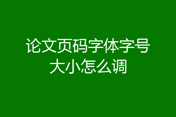 论文页码字体字号大小怎么调