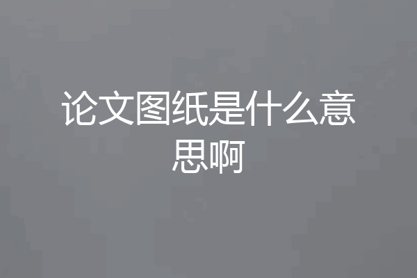 论文图纸是什么意思啊