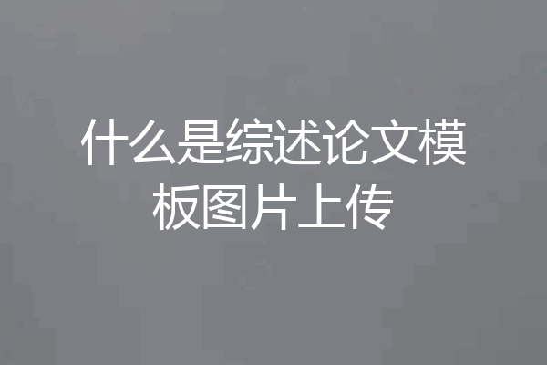 什么是综述论文模板图片上传