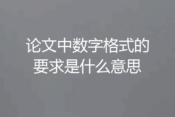 论文中数字格式的要求是什么意思