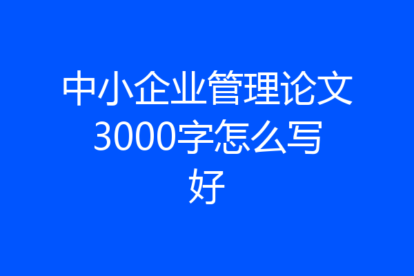 中小企业管理论文3000字怎么写好