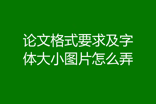 论文格式要求及字体大小图片怎么弄