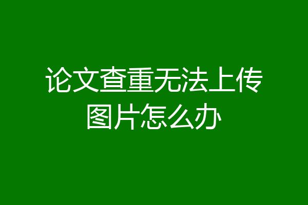 论文查重无法上传图片怎么办