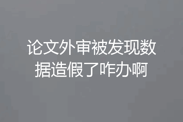 论文外审被发现数据造假了咋办啊