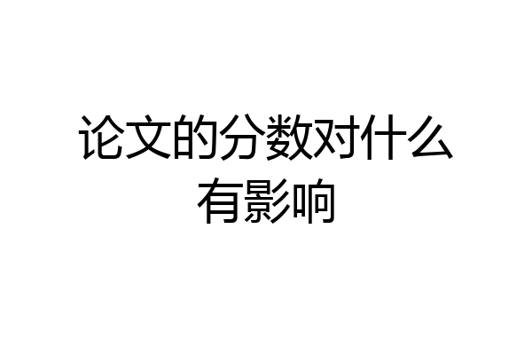论文的分数对什么有影响