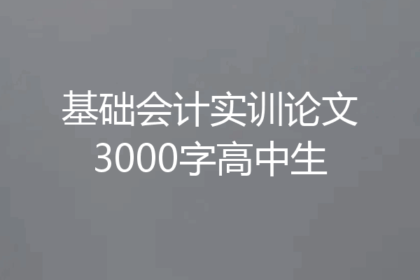 基础会计实训论文3000字高中生
