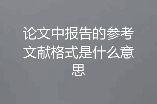 论文中报告的参考文献格式是什么意思