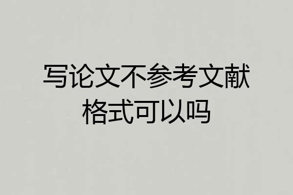 写论文不参考文献格式可以吗