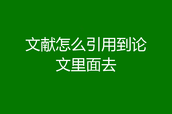 文献怎么引用到论文里面去