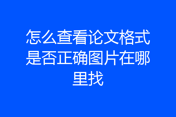 怎么查看论文格式是否正确图片在哪里找