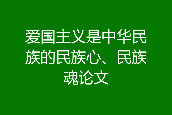 爱国主义是中华民族的民族心、民族魂论文