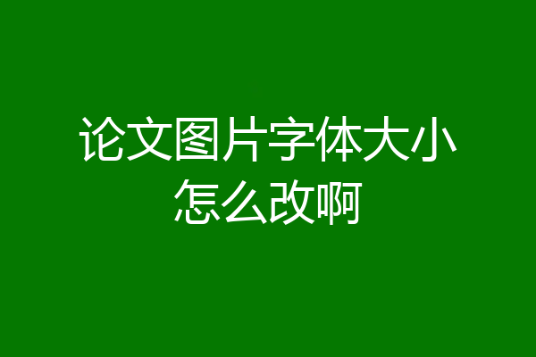 论文图片字体大小怎么改啊