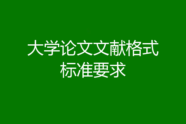 大学论文文献格式标准要求