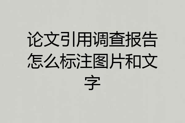 论文引用调查报告怎么标注图片和文字