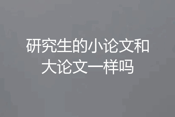 研究生的小论文和大论文一样吗
