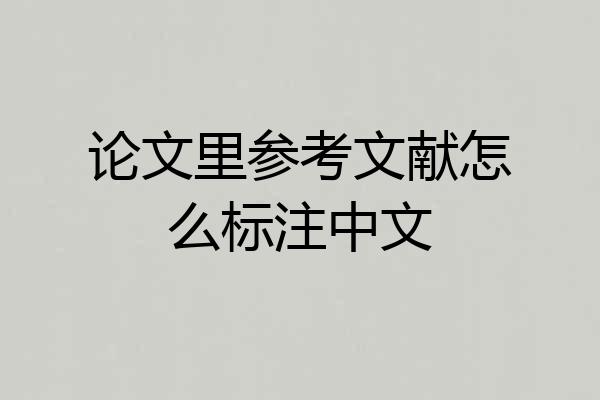 论文里参考文献怎么标注中文