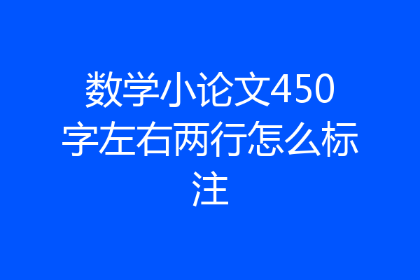 数学小论文450字左右两行怎么标注