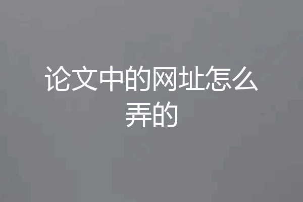 论文中的网址怎么弄的